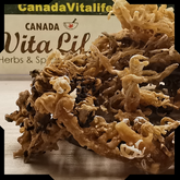 Sea Moss